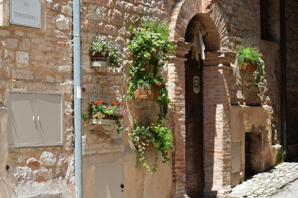 Spello House Patio Apartment ภายนอก รูปภาพ